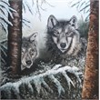 wolven 100x100acryl
