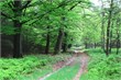 veluwe