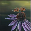 vlinder 40x40 acryl