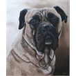 Rocky 60x70acryl