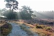 Bakkeveen