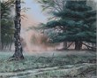 Deelerwoud 50x40 olieverf