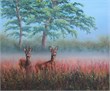 ree&euml;n in de ochtend 60x50 olieverf