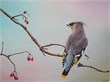pestvogel 30x40 olieverf