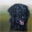 Micky 50x50 acryl