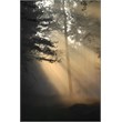 herfst