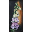 digitalis 15x30acryl