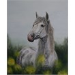 paard50x70acryl
