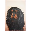 Bobby 50x70acryl